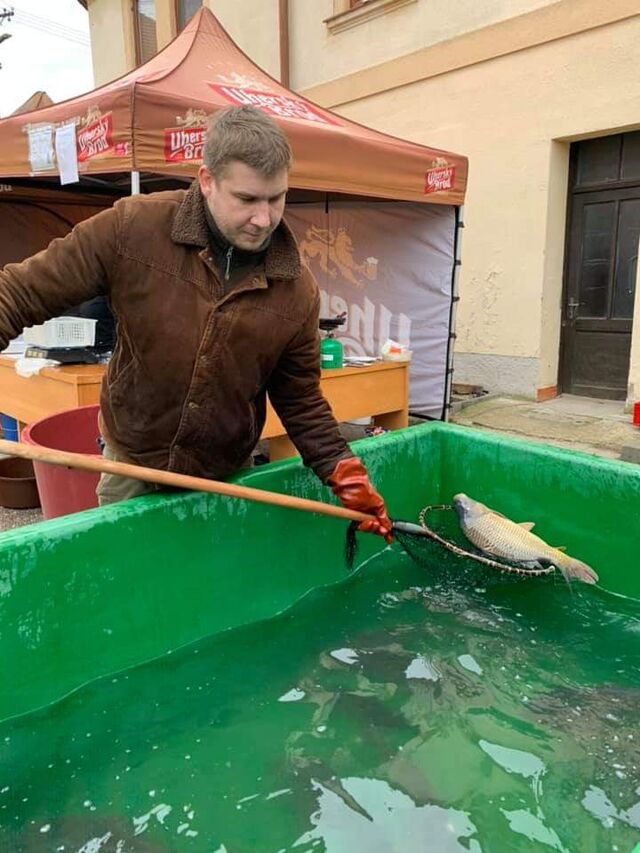 Vánoční prodej kapříků