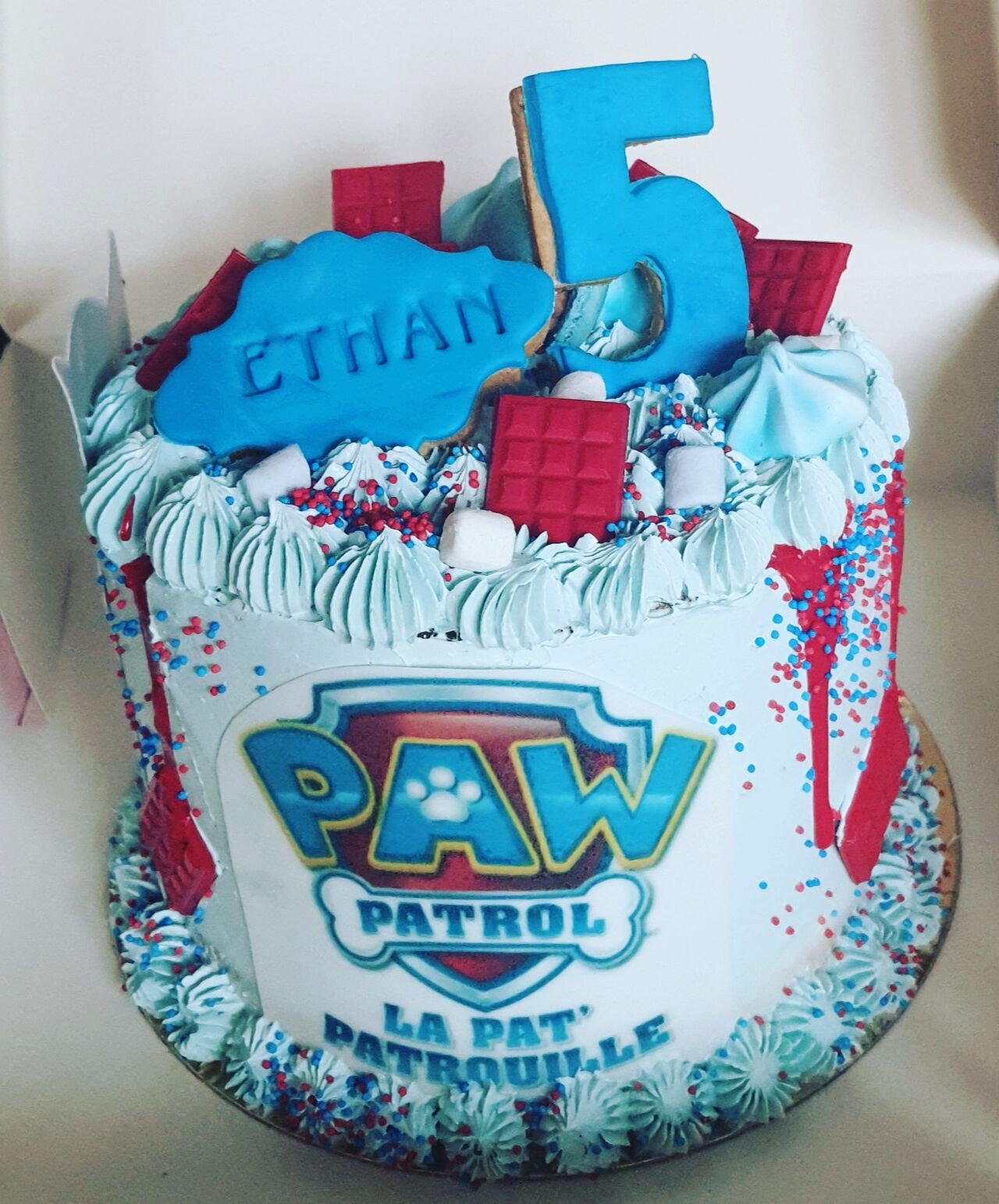 Pat patrouille un succès celui ci