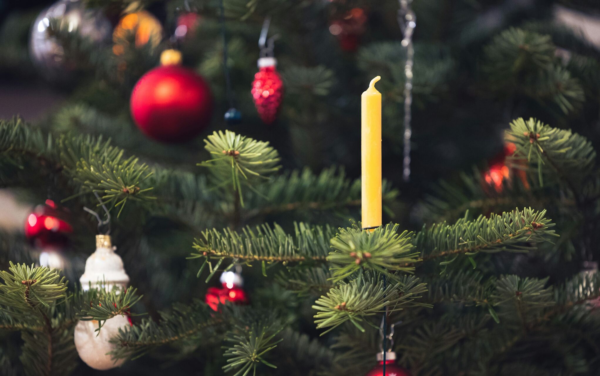 🎄 Oferta Wigilijna 2025