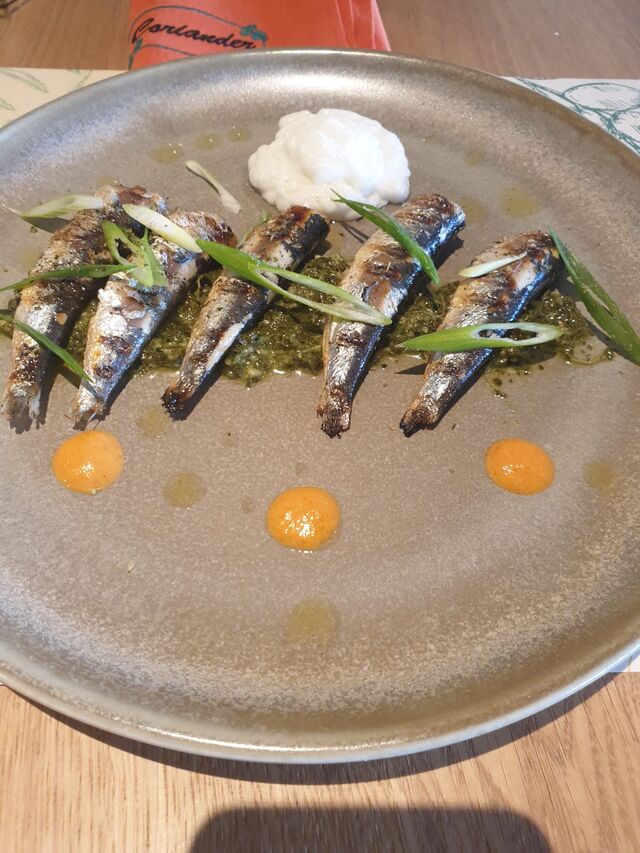 Sardinen Weinblätter pesto und hausgemachte paprika knoblauch soße