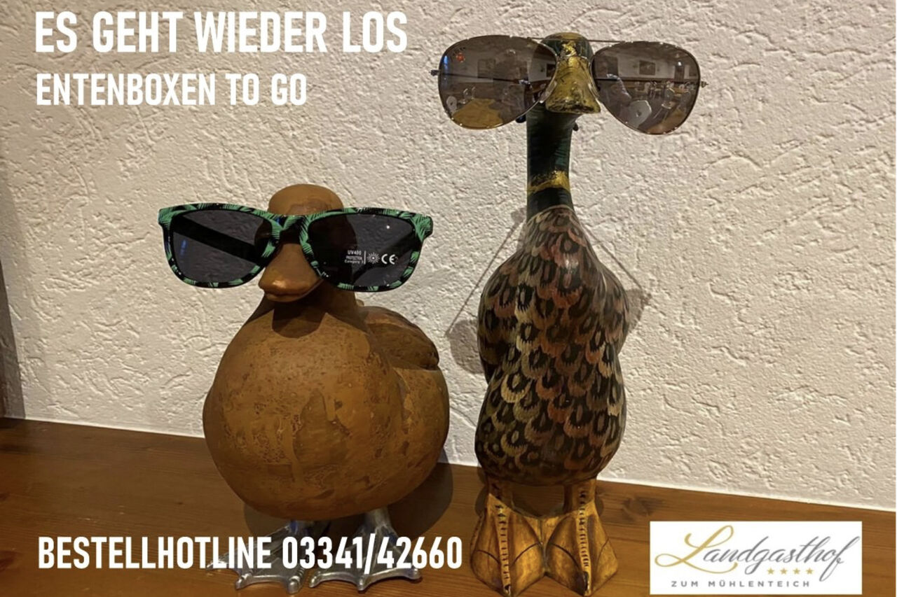 DIE „ENT`ZEIT BOX“