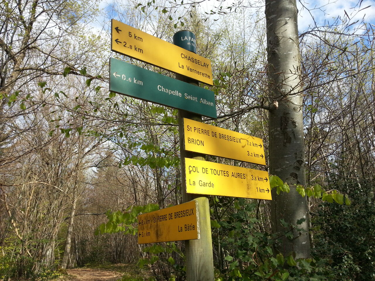 promenades en forêt juste derriere le gîte