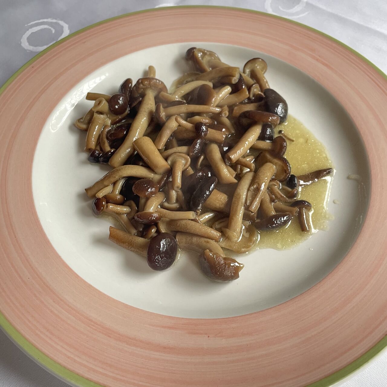Boletus de chopo