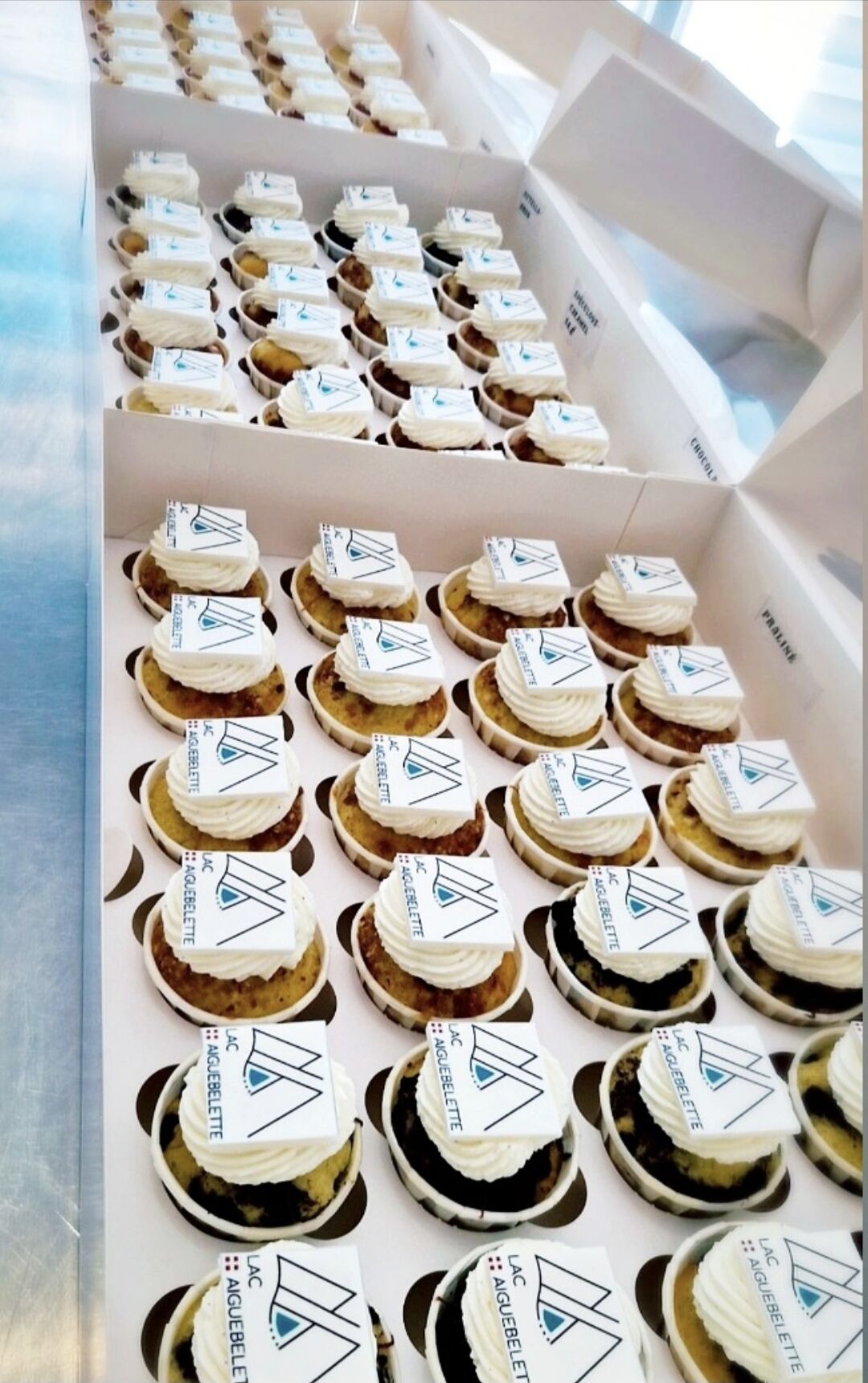 Mini cupcakes avec logo d'entreprise 