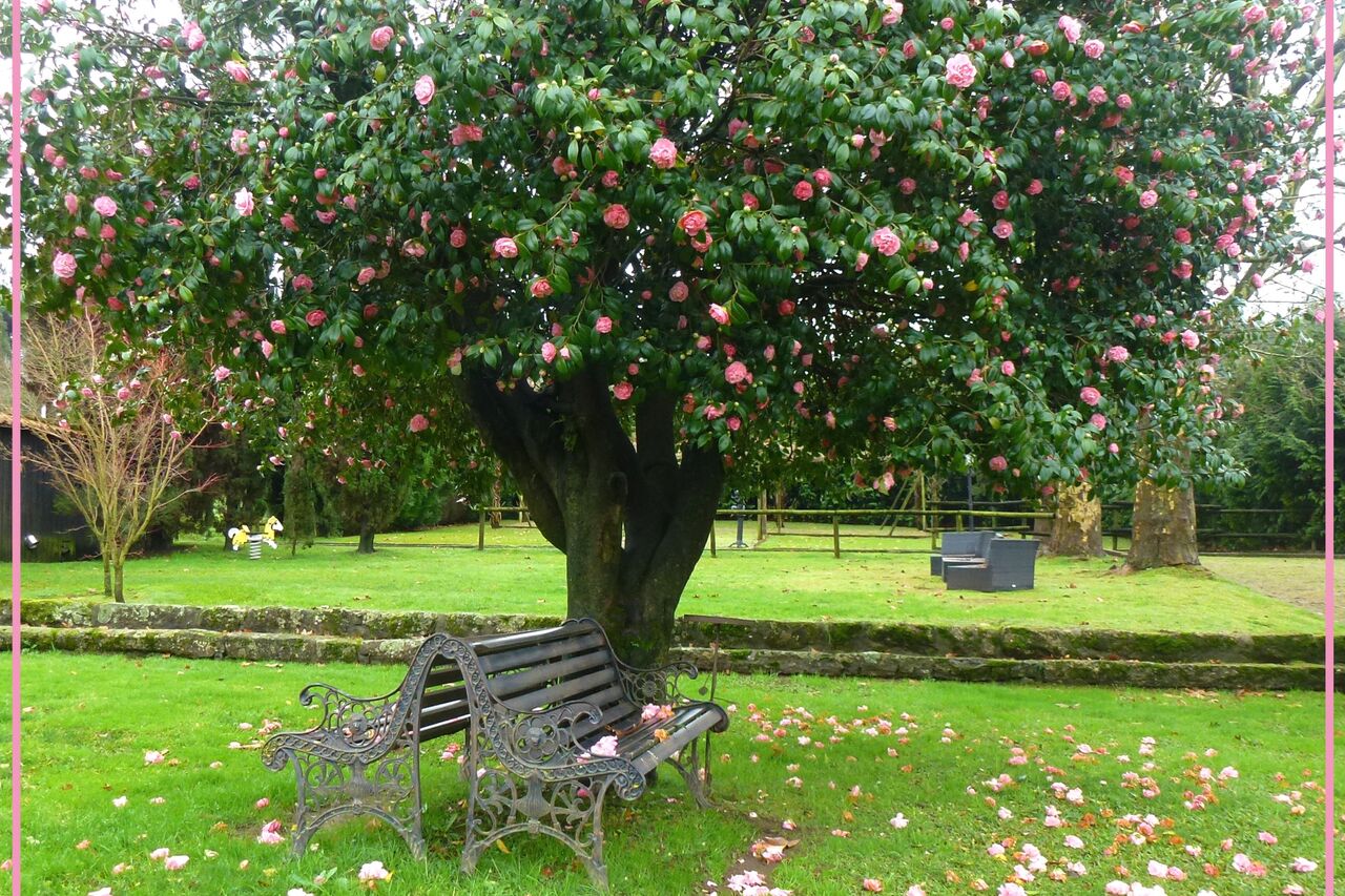 Venha celebrar o seu dia especial connosco!