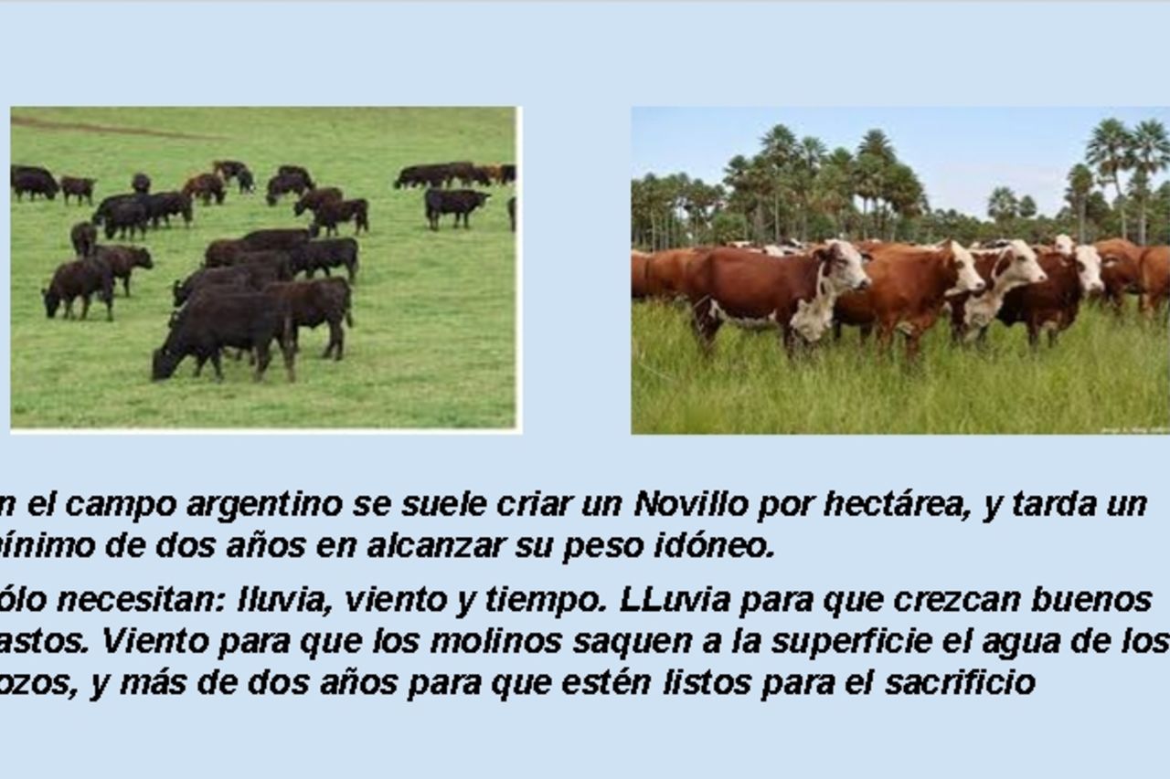 Porqué carne argentina....?