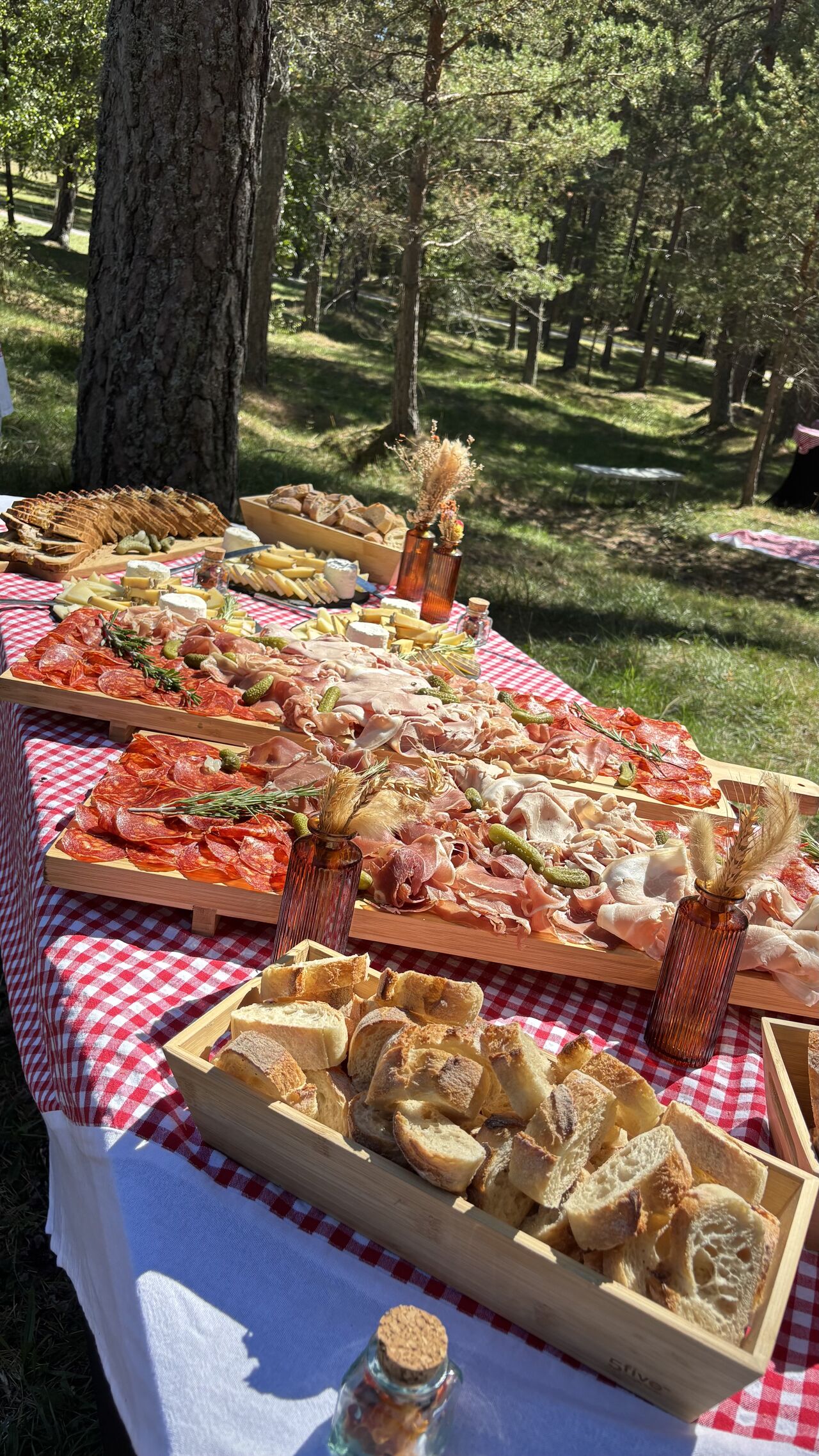 Avec Au Bidochon 🐷