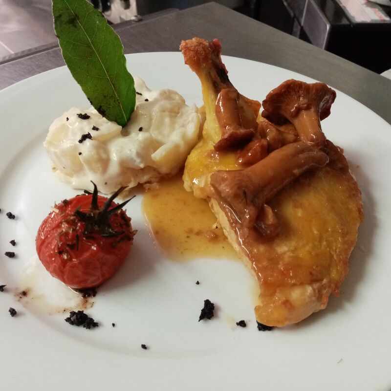 Suprème sauce girolles