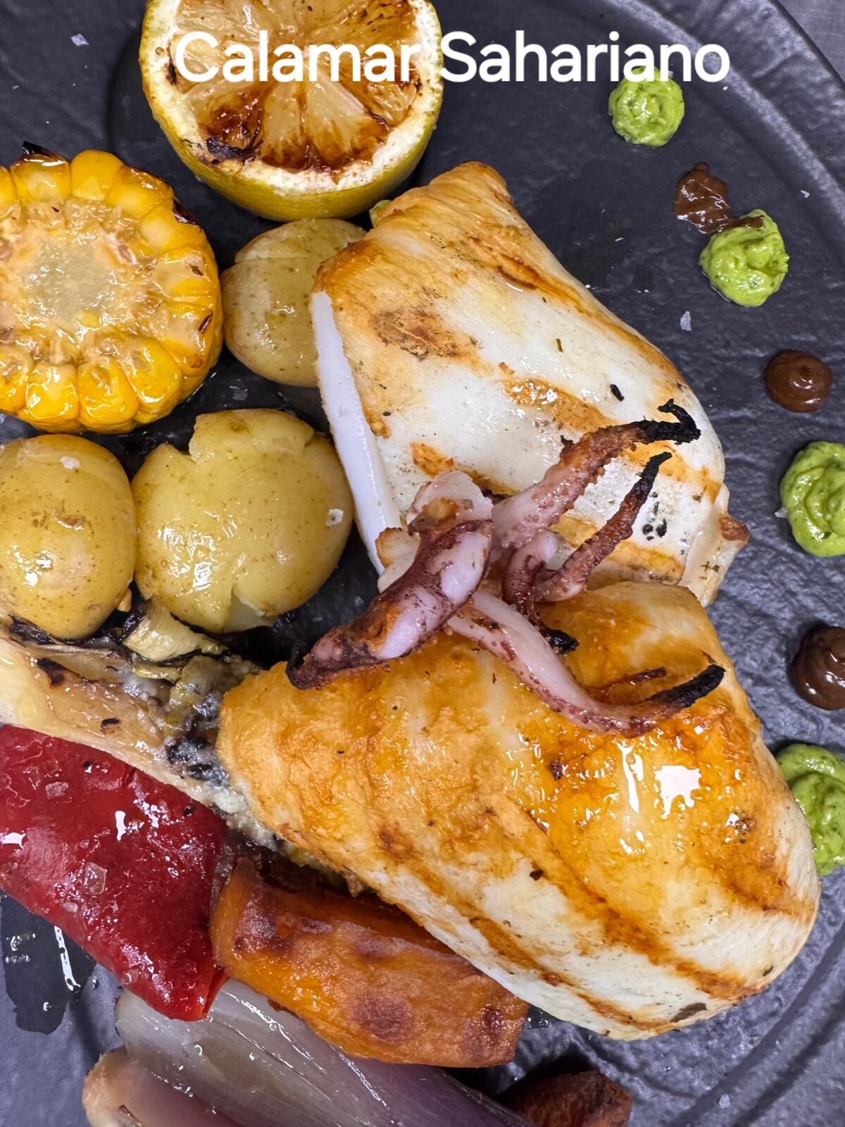 CALAMAR SAHARIANO