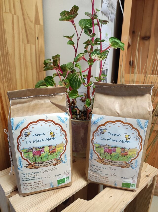 Ferme de la Mare Motte à Saint Marc en Poulet