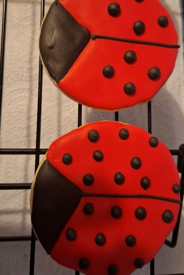 Coccinelle