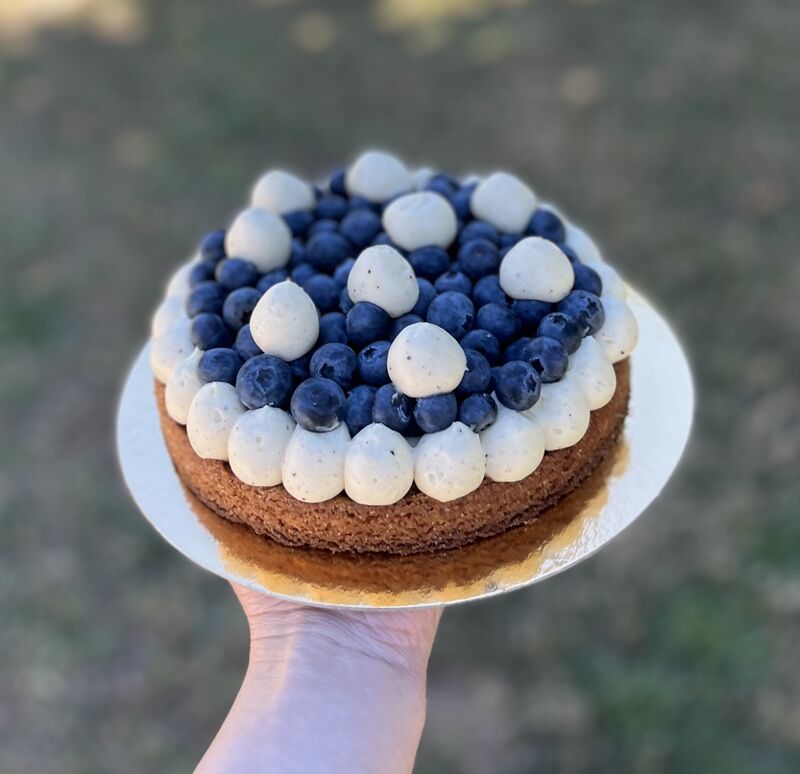 Tarte aux myrtilles 
