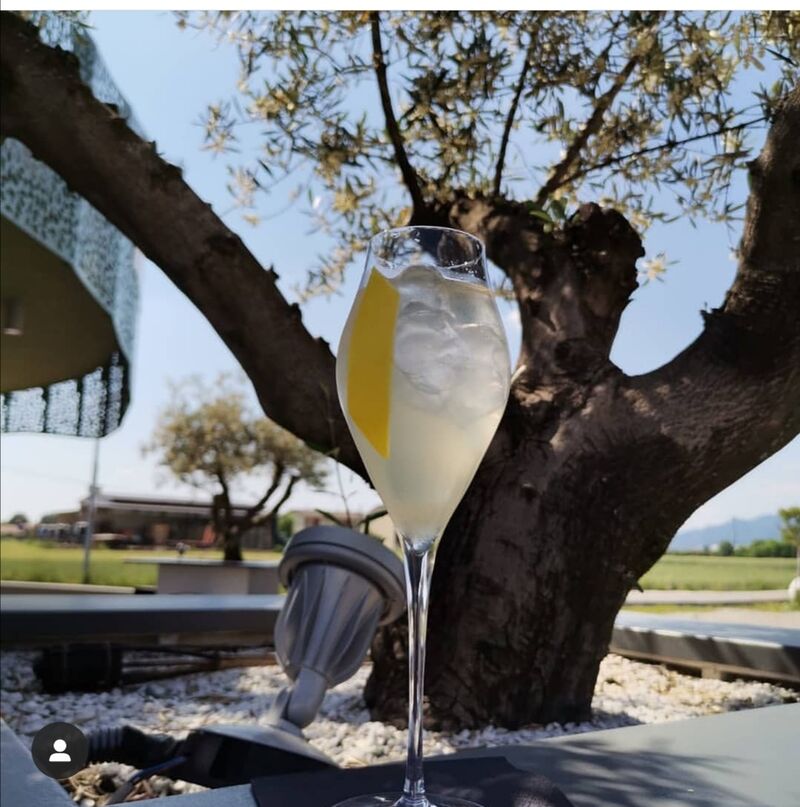  EDEN
Un ottimo aperitivo fresco e
dissetante 