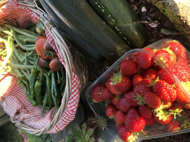 Fruits et légumes de notre cueillette