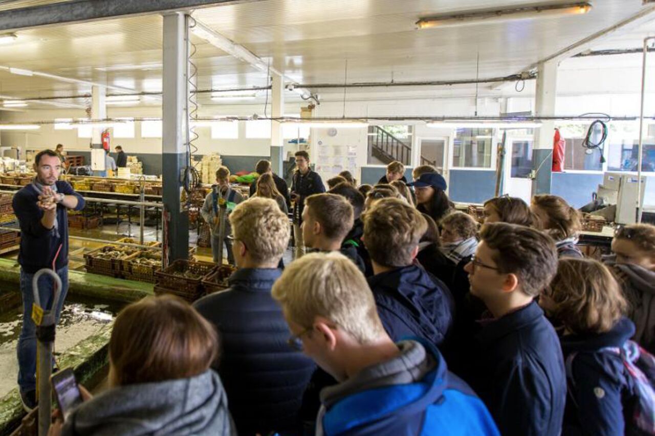 Visite de l'entreprise