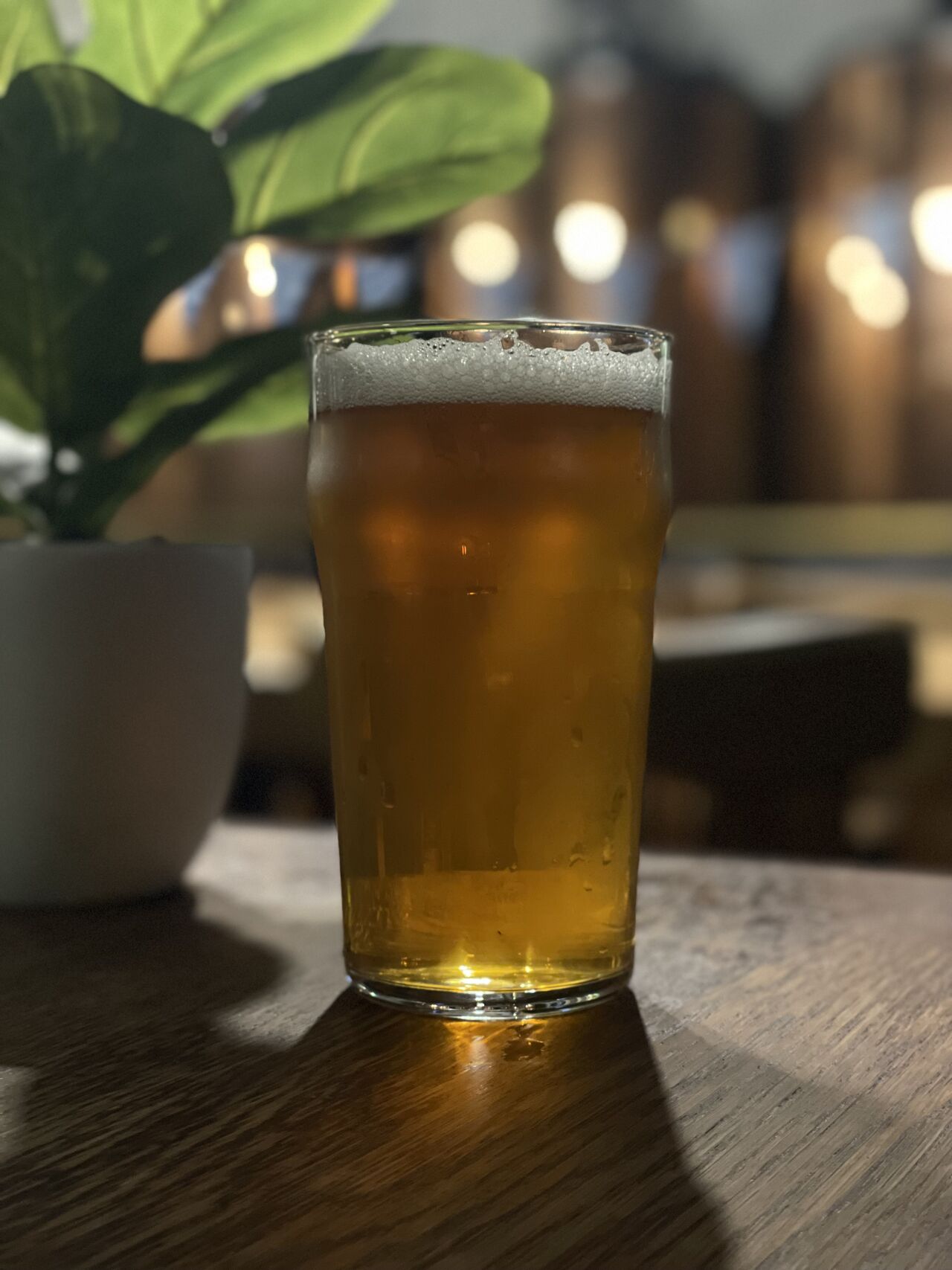 La Dame Genièvre, 5,6% 