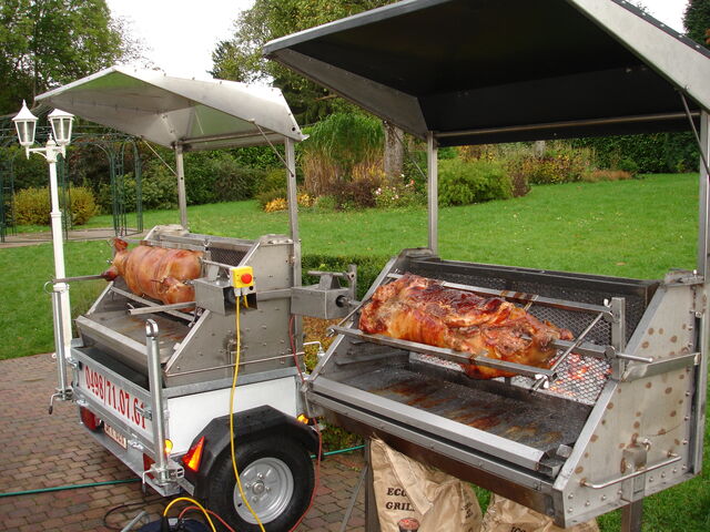 Porcelet grillé 
