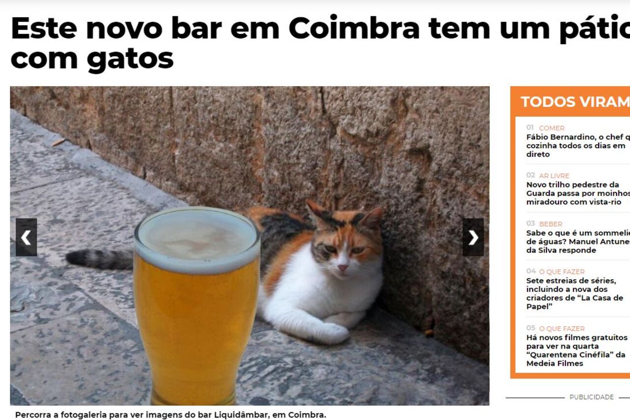 O que dizem sobre nós