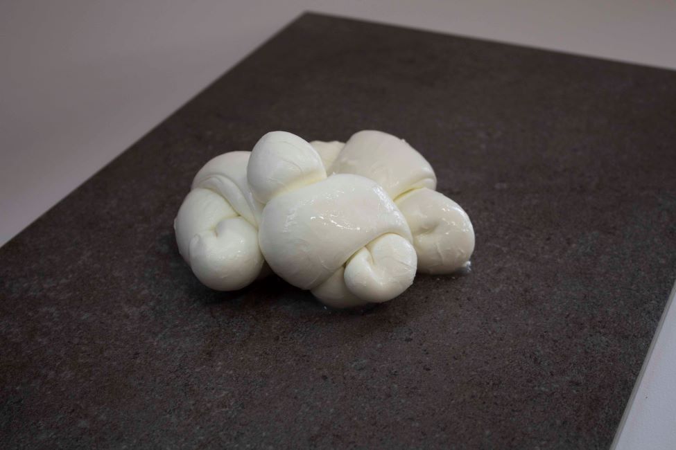 Nodini di latte di Bufala.