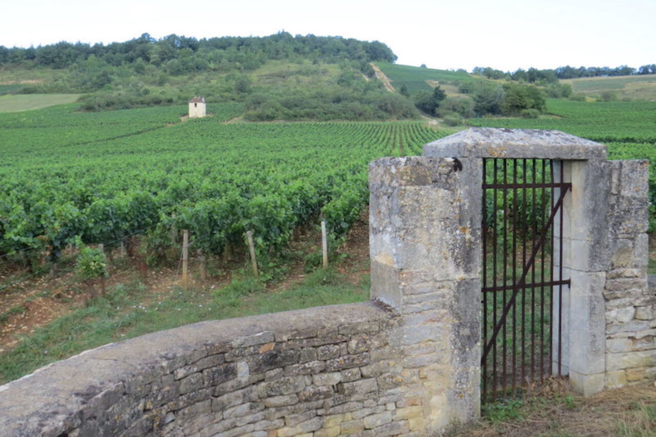 Liens sociaux numériques
