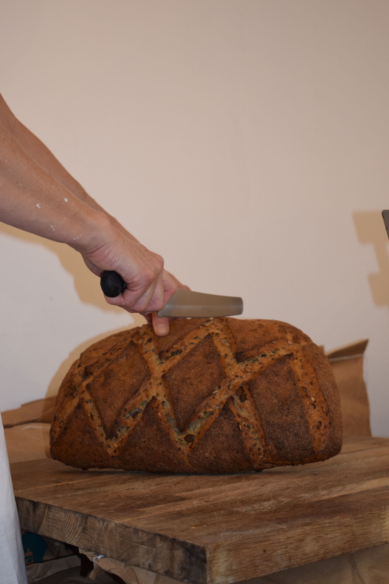 Graines (Courge, tournesol, lin)