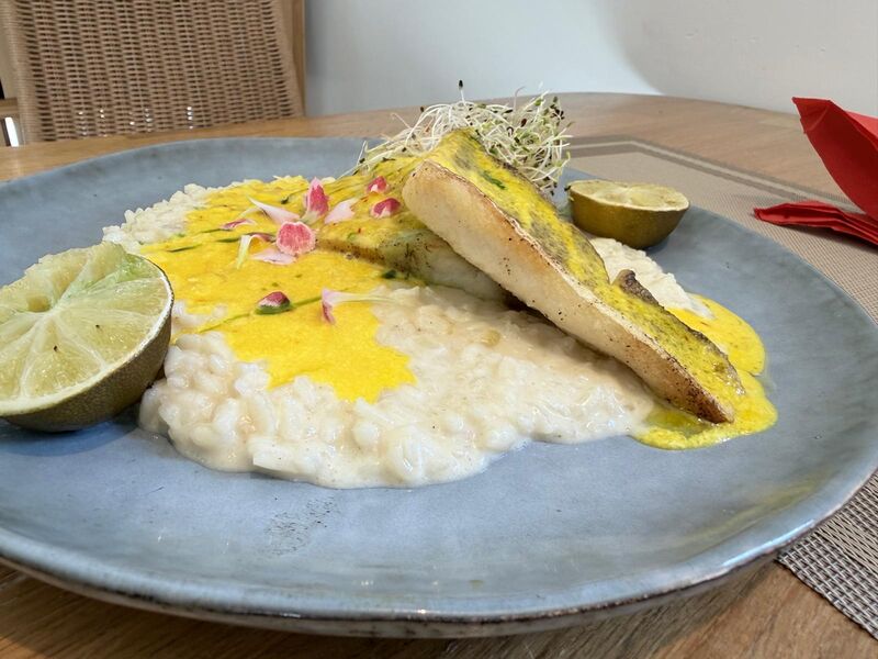 Filet Sandacza