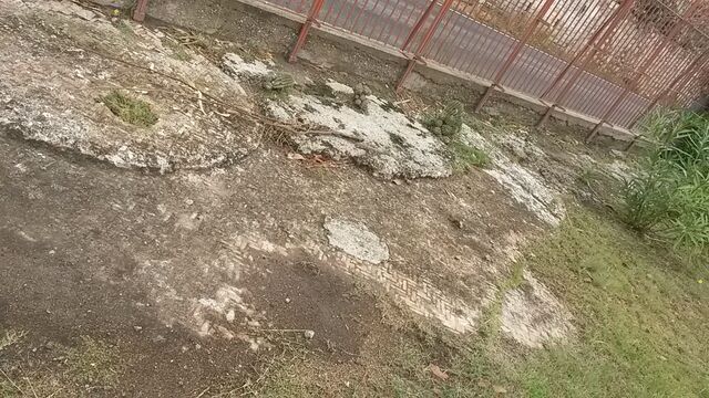 Il tratto di Opus Spicatum