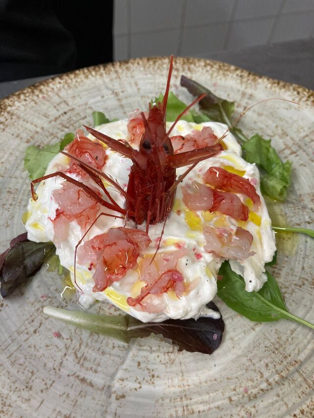 Gambero rosso e burrata 