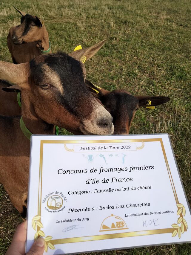 MEDAILLE DE BRONZE POUR LA FAISSELLE