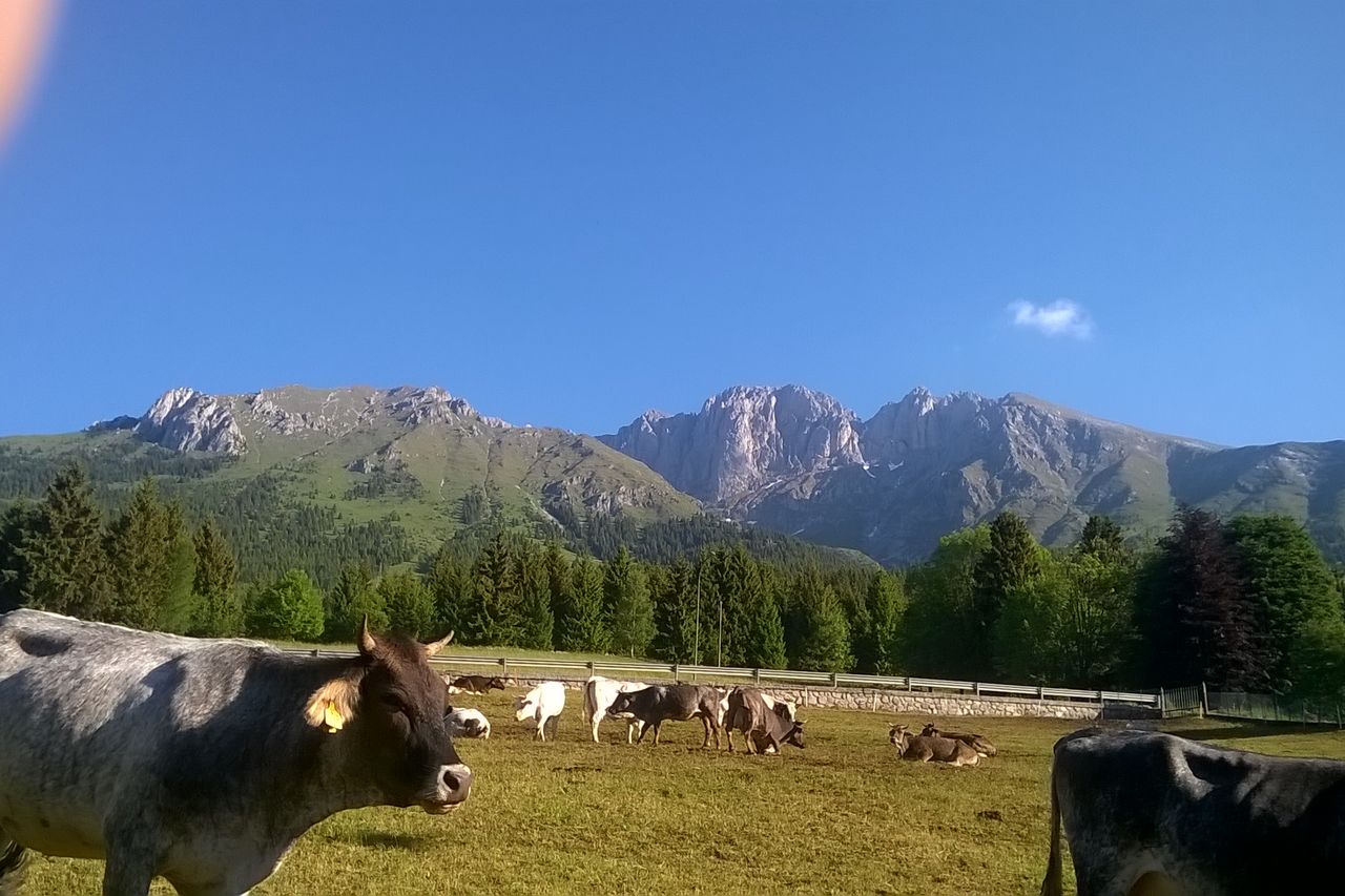 Vista verso la Presolana