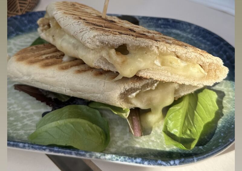 Panini Brie 