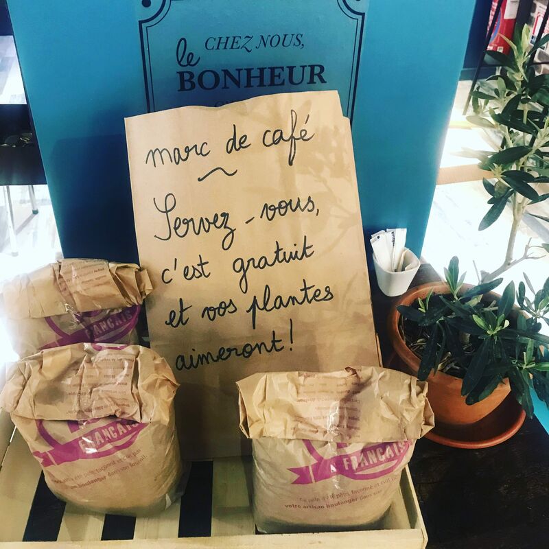 Vous aimez vos plantes? Donnez leur un engrais naturel gratuit!