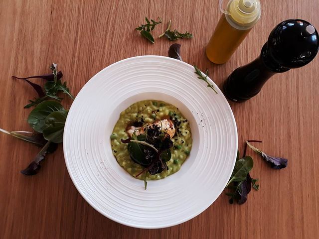 Poelierter Seeteufel auf Erbsen-Minzrisotto, serviert mit einem Wildkräutersalat