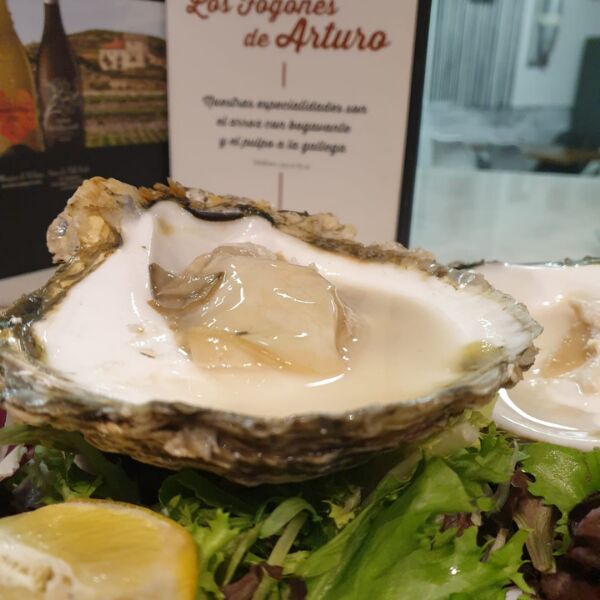 Ostras Napoleón XXL