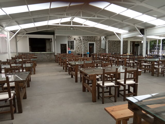 Terraza rodeada de tilos y plataneros