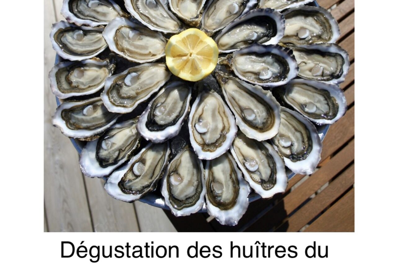 Degustation des huitres