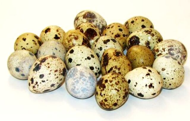 Яйце перепелине