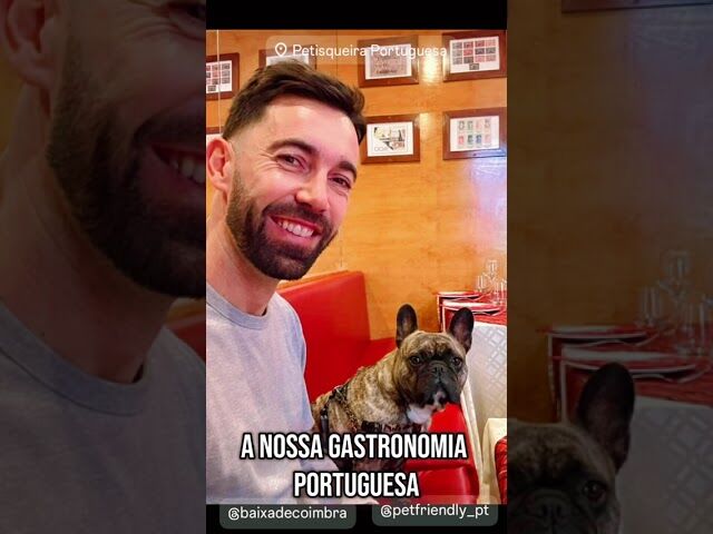 Somos um Restaurante Petfriendly na Baixa de Coimbra