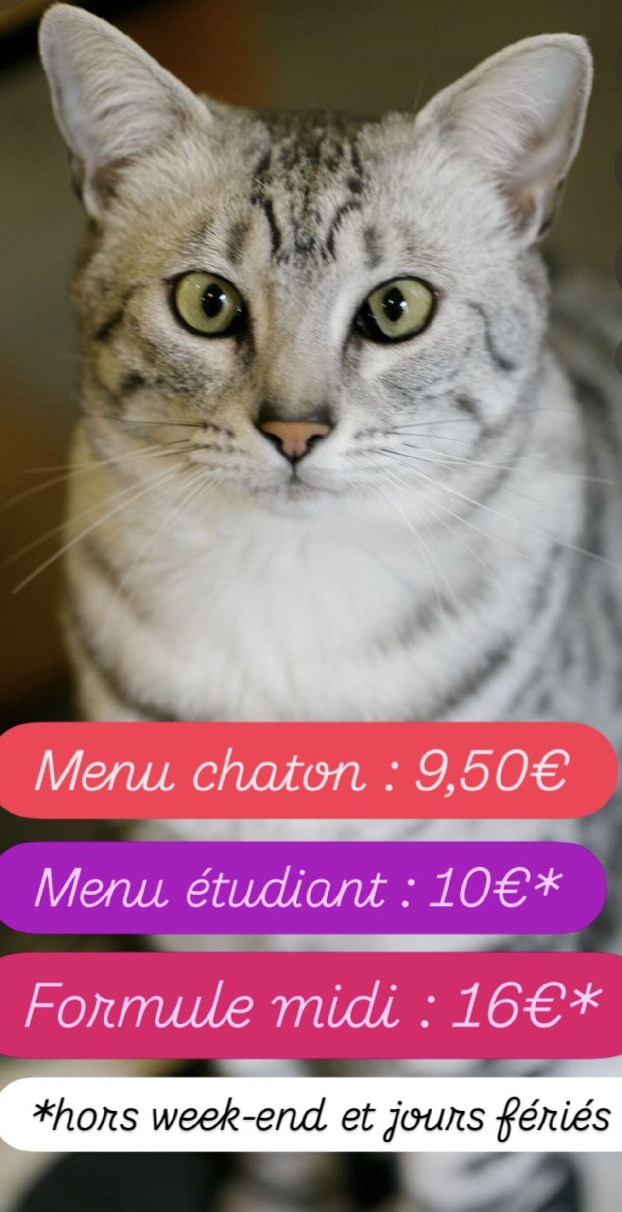 Nos formules