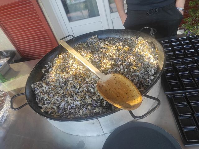 Tellines pour vos apéritifs vendu au kg 12€00