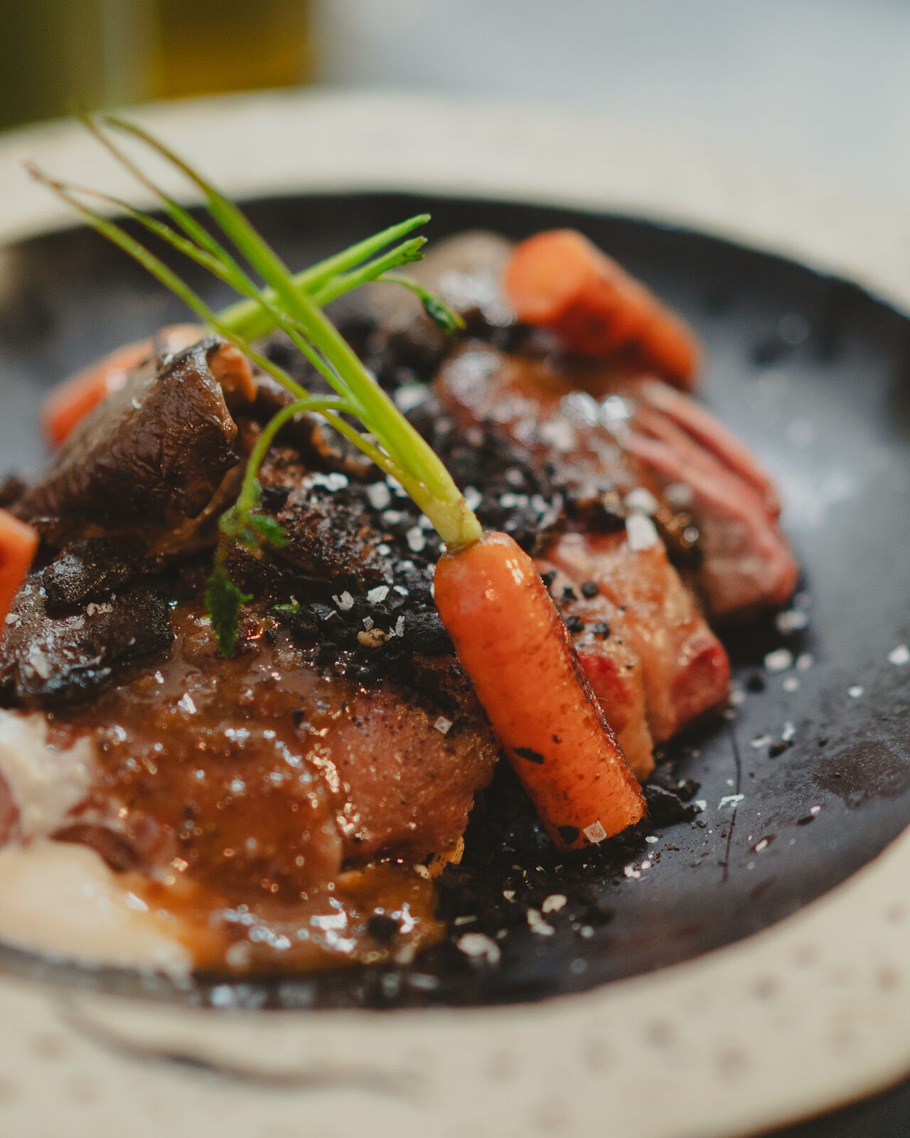 SECRETO IBERICO