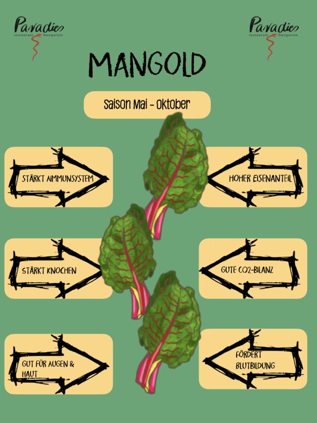 Der Star vom August: Mangold. Alle Fakten von Herkunft über Pflanzung bis hin zur gesunden Wirkung findet Ihr unter „über uns“