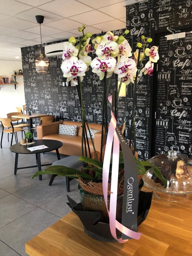 Salt sugar brunssum greek cuisine near me
