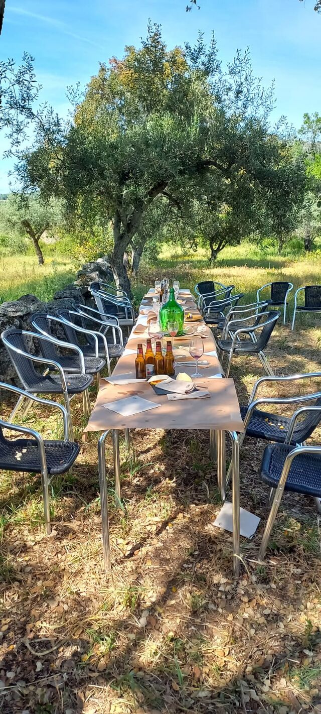 The garden @chefstable