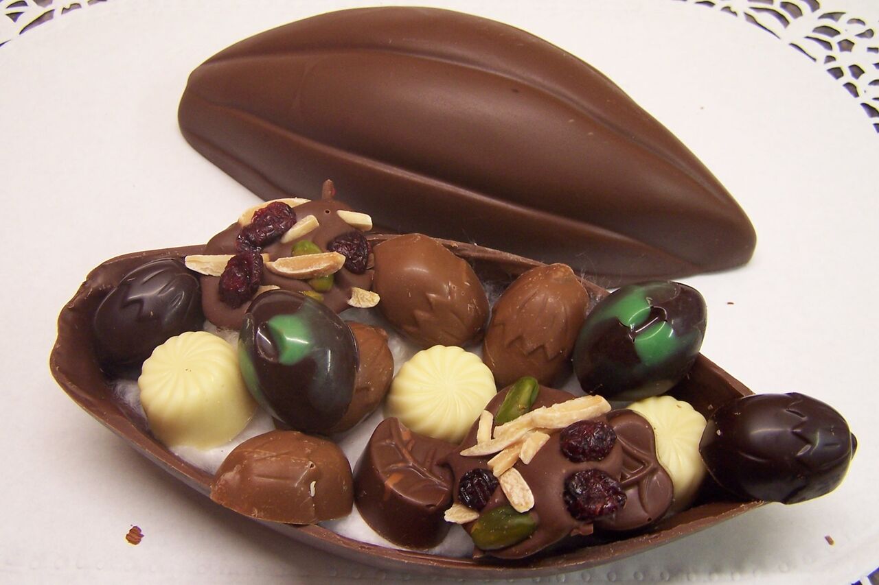 Cabosse chocolat lait