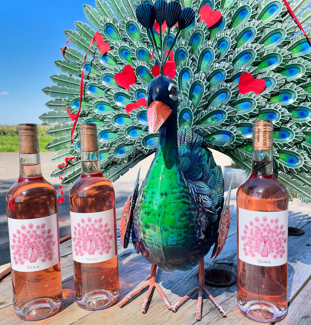 Rosé Nina - coup de coeur