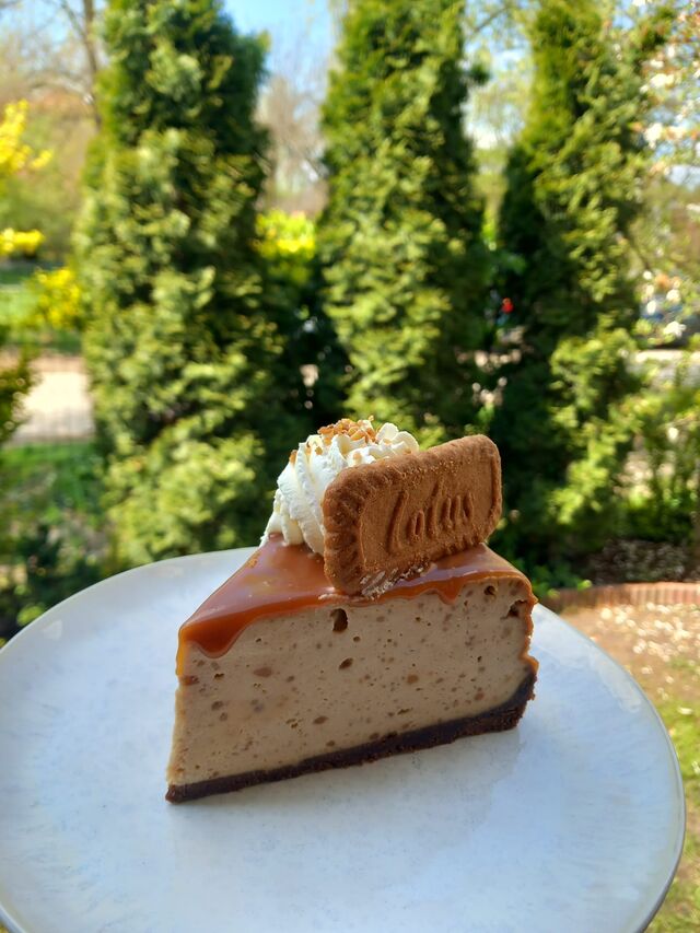 Sernik ciasteczkowy Lotus