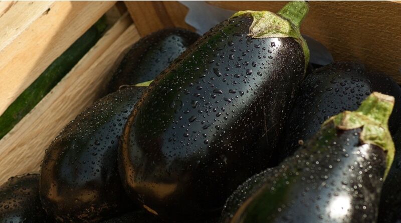 Aubergines - 1,67€/kg