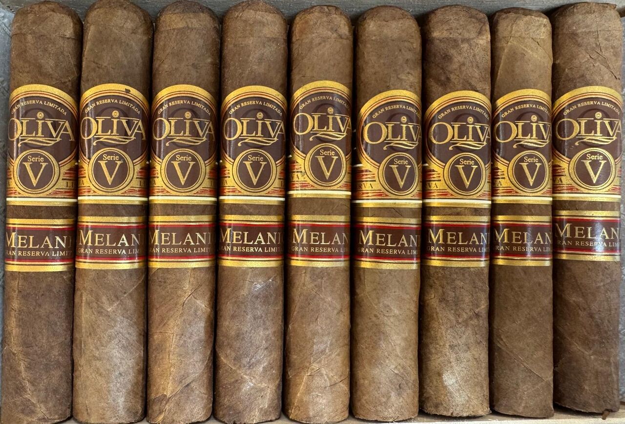 Oliva serie V Melanio