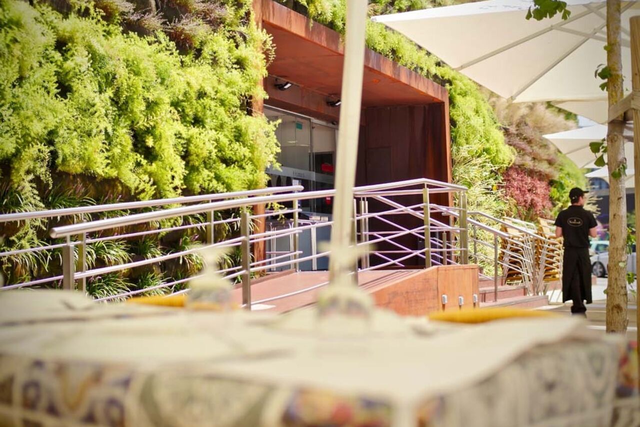 O nosso jardim vertical